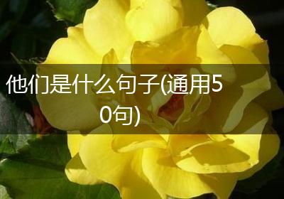 他们是什么句子(通用50句)