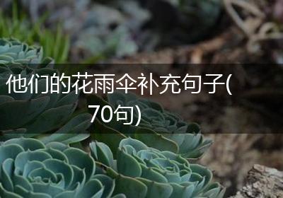 他们的花雨伞补充句子(70句)