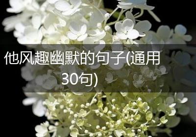 他风趣幽默的句子(通用30句)