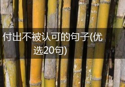 付出不被认可的句子(优选20句)