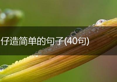 仔造简单的句子(40句)