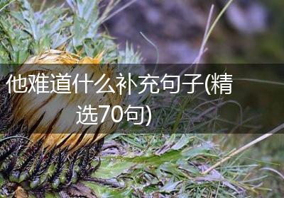 他难道什么补充句子(精选70句)