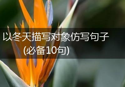 以冬天描写对象仿写句子(必备10句)