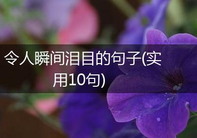 令人瞬间泪目的句子(实用10句)