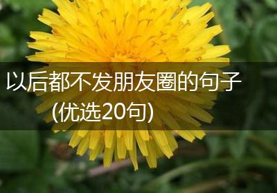 以后都不发朋友圈的句子(优选20句)