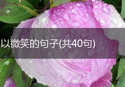 以微笑的句子(共40句)