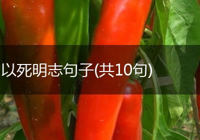 以死明志句子(共10句)