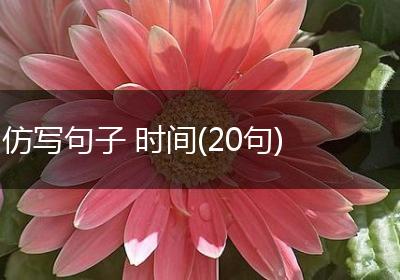 仿写句子 时间(20句)