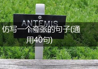 仿写一个夸张的句子(通用40句)