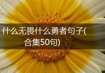 什么无畏什么勇者句子(合集50句)