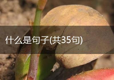 什么是句子(共35句)