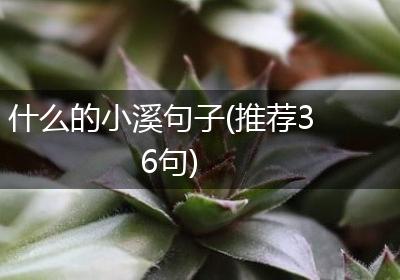什么的小溪句子(推荐36句)
