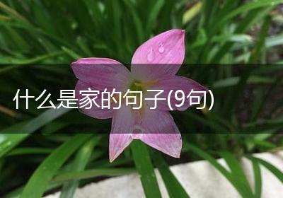 什么是家的句子(9句)