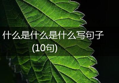 什么是什么是什么写句子(10句)