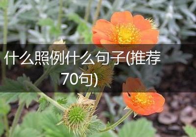 什么照例什么句子(推荐70句)