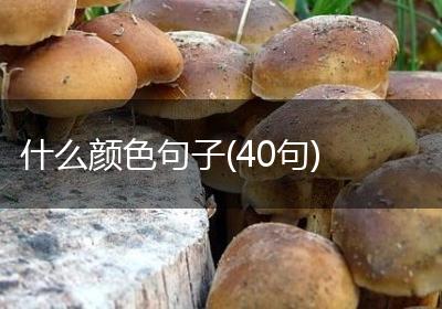 什么颜色句子(40句)