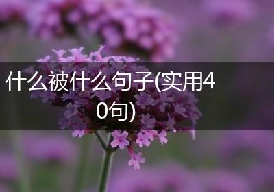 什么被什么句子(实用40句)