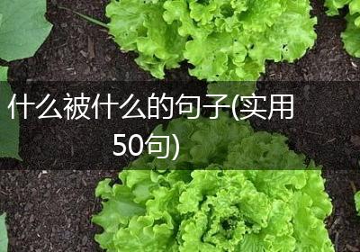 什么被什么的句子(实用50句)