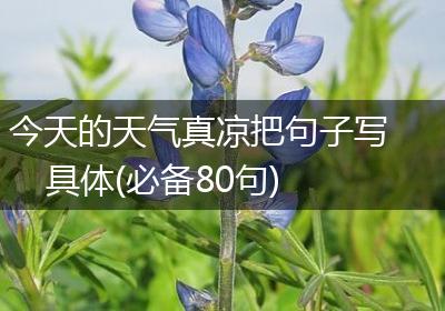 今天的天气真凉把句子写具体(必备80句)