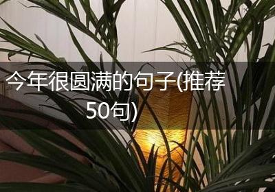 今年很圆满的句子(推荐50句)