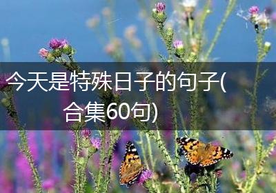 今天是特殊日子的句子(合集60句)