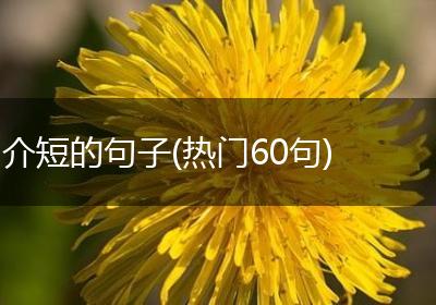 介短的句子(热门60句)