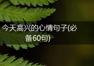 今天高兴的心情句子(必备60句)
