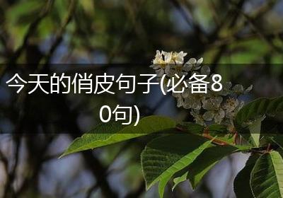 今天的俏皮句子(必备80句)