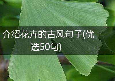 介绍花卉的古风句子(优选50句)