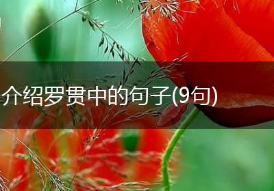 介绍罗贯中的句子(9句)