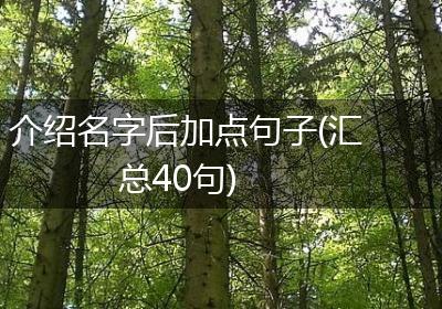介绍名字后加点句子(汇总40句)