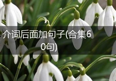 介词后面加句子(合集60句)