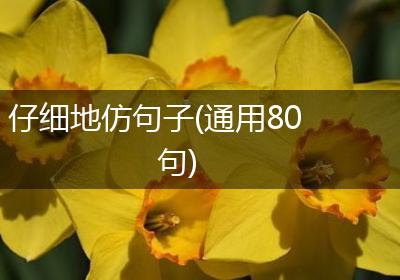 仔细地仿句子(通用80句)
