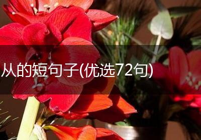 从的短句子(优选72句)