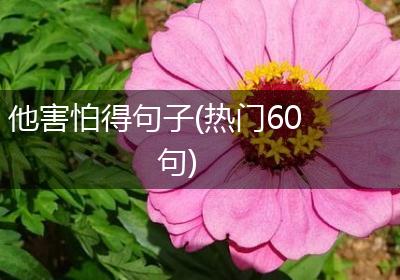 他害怕得句子(热门60句)