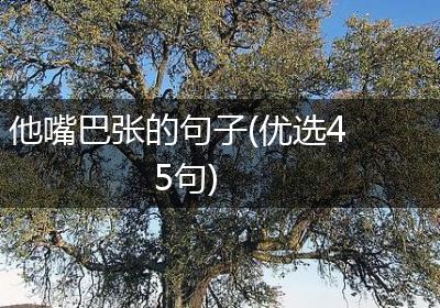 他嘴巴张的句子(优选45句)