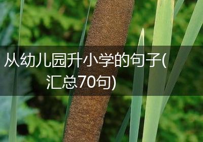 从幼儿园升小学的句子(汇总70句)