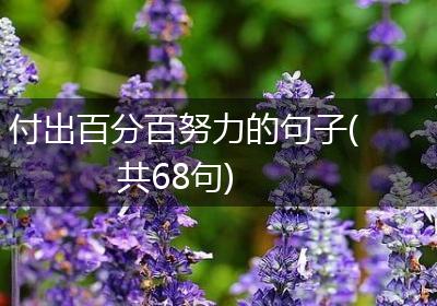 付出百分百努力的句子(共68句)