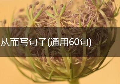 从而写句子(通用60句)