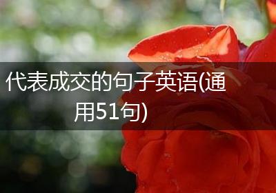 代表成交的句子英语(通用51句)