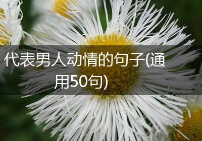 代表男人动情的句子(通用50句)