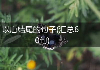 以唐结尾的句子(汇总60句)