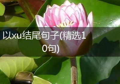 以xu结尾句子(精选10句)