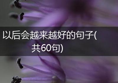 以后会越来越好的句子(共60句)