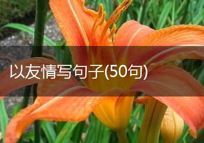以友情写句子(50句)
