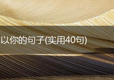 以你的句子(实用40句)