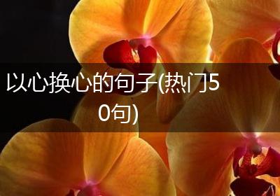 以心换心的句子(热门50句)