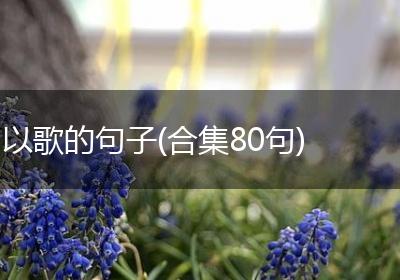 以歌的句子(合集80句)