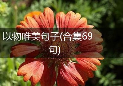 以物唯美句子(合集69句)