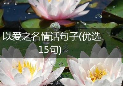 以爱之名情话句子(优选15句)
